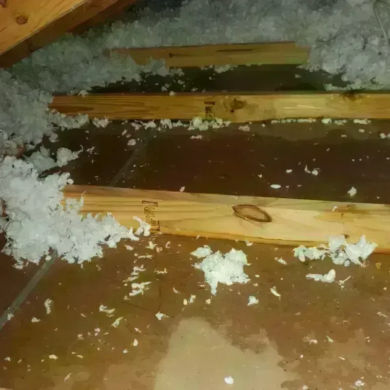 Attic Water Damage in Russell Springs, KY